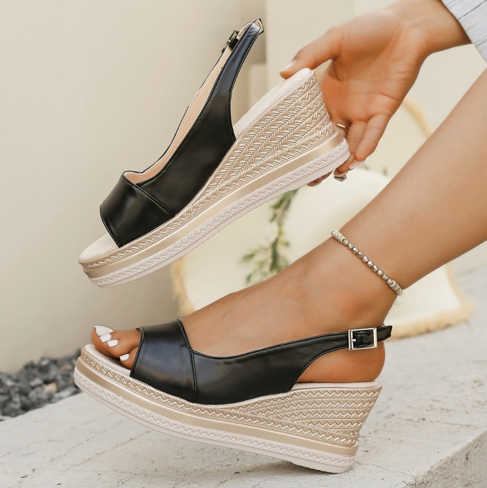 Black / 43