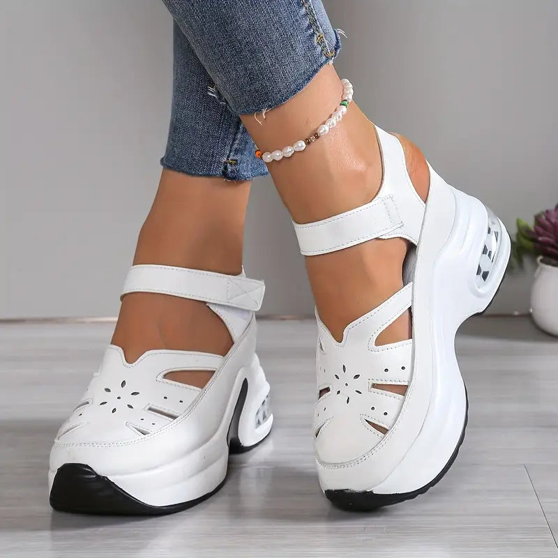 White / 43